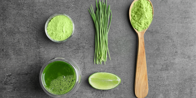 Polvo de hierba de pasto de trigo versus polvo de jugo de pasto de trigo