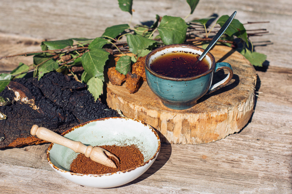 Chaga Supplements for Better Sleep