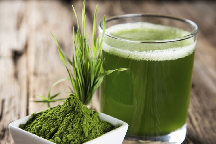 Pasos para preparar el té de espirulina clorella perfecto para su dieta cetogénica